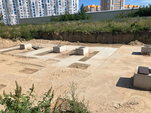 25 августа 2025