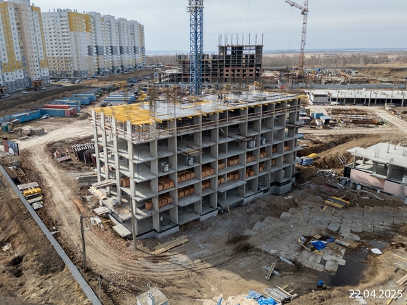 25 апреля 2025