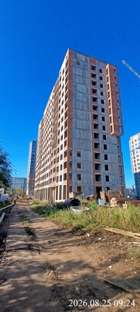 28 августа 2026