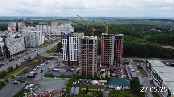 27 мая 2025