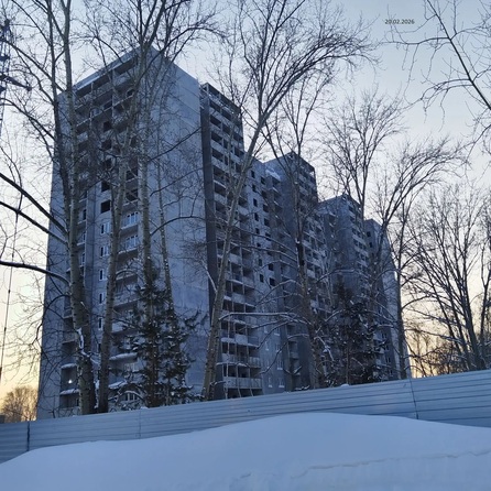 24 февраля 2026
