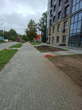 25 августа 2026