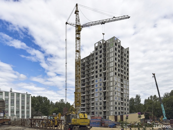 29 июля 2025
