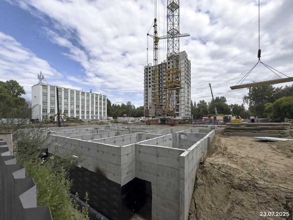 29 июля 2025