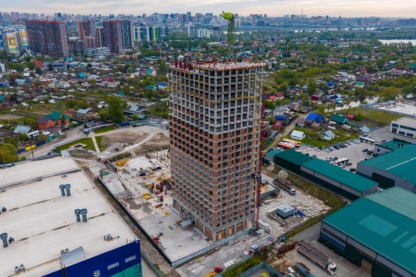 25 мая 2026