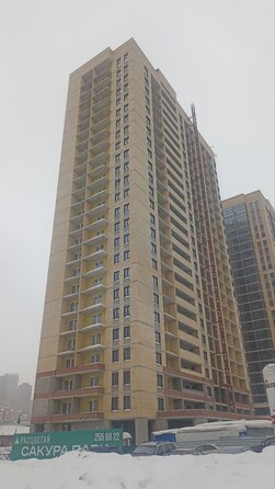 19 февраля 2026