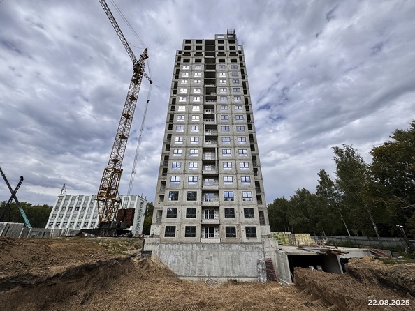 22 августа 2025