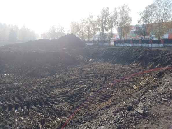 29 октября 2025