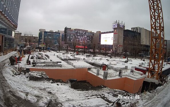 19 февраля 2026