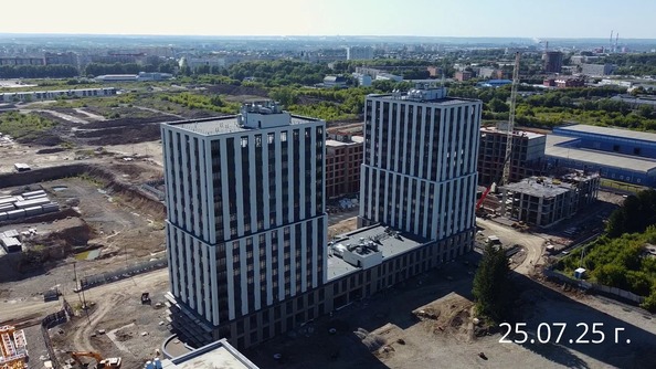 25 июля 2025