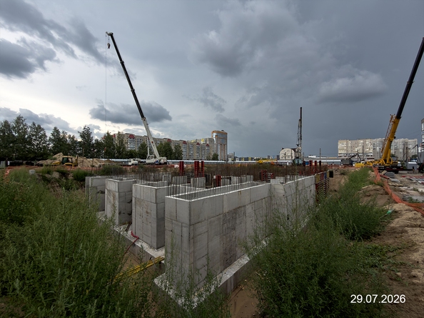 29 июля 2026
