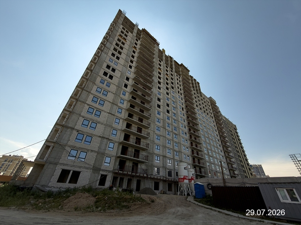 31 июля 2026
