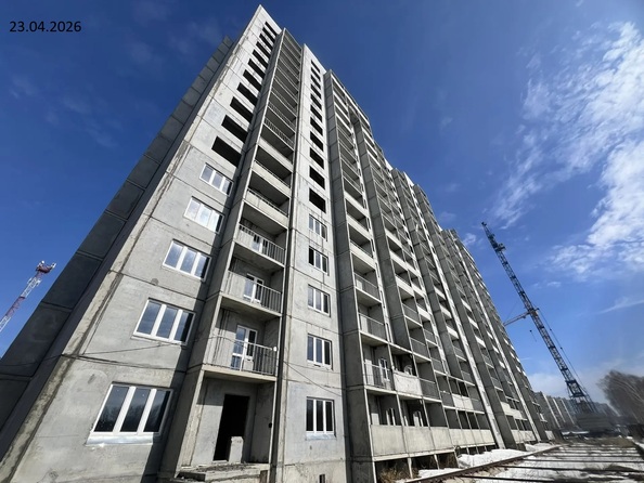 24 апреля 2026