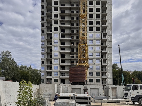 29 июля 2025
