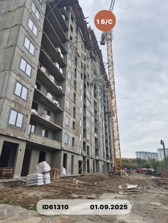 3 сентября 2025