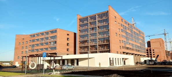 2 октября 2024