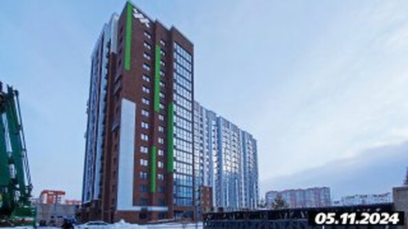 5 ноября 2024