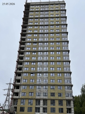25 мая 2026