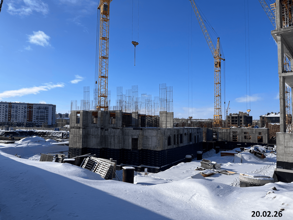 27 февраля 2026