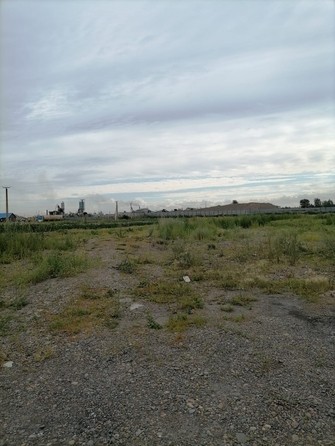 
  Продам  землю сельхозназначения, 133 соток, Красноярск

. Фото 3.