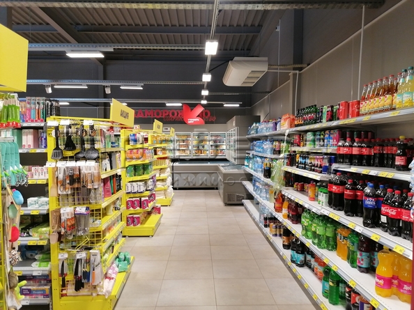 
  Продается готовый бизнес, 495 м², Ботаническая ул, д. 50
. Фото 4.