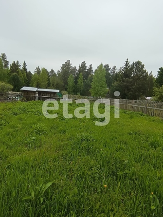 
  Продам  дачный участок, 9.1 соток, Арейское село

. Фото 4.