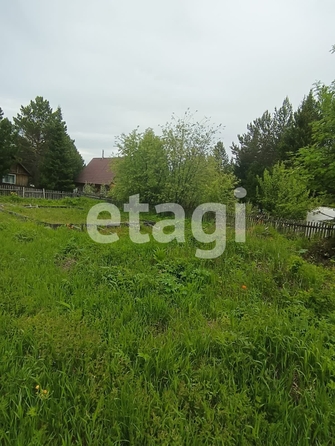 
  Продам  дачный участок, 9.1 соток, Арейское село

. Фото 7.