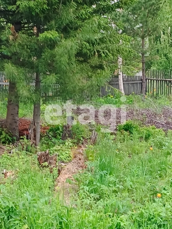 
  Продам  дачный участок, 9.1 соток, Арейское село

. Фото 10.