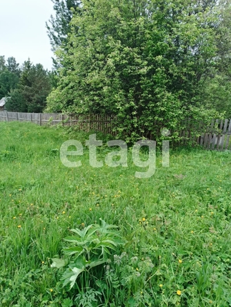 
  Продам  дачный участок, 9.1 соток, Арейское село

. Фото 11.