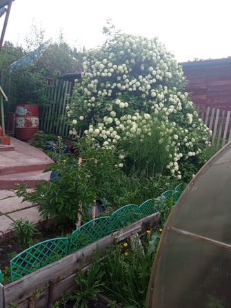 
  Продам дачу, 54 м², Красноярск
. Фото 13.