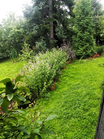 
  Продается дача, 40 м², станция Минино
. Фото 10.