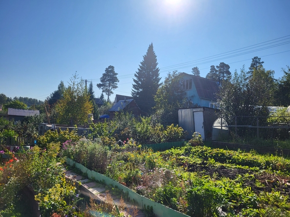 
  Продается дача, 62 м², станция Минино
. Фото 4.