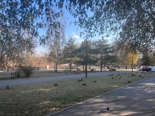 
  Продам 2-комн. квартиру, 59 м², Горького ул, д. 42
. Фото 11.