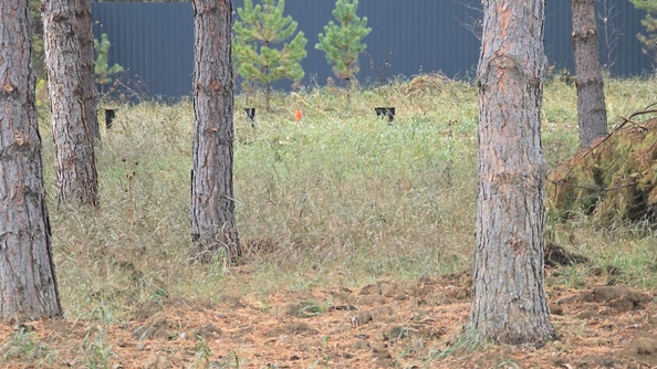 
  Продается земельный участок, 50 соток, деревня Сухая деревня
. Фото 10.