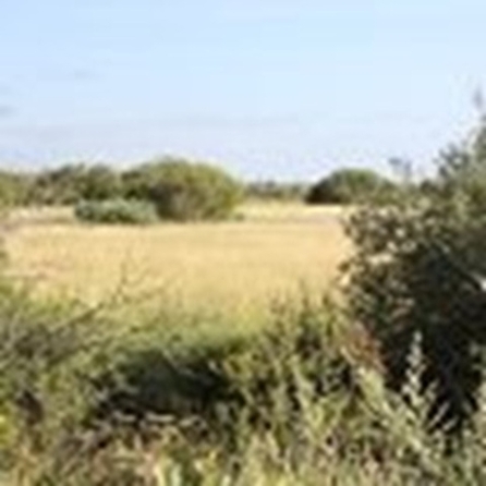 
  Продам земельный участок 4800 соток. Фото 2.
