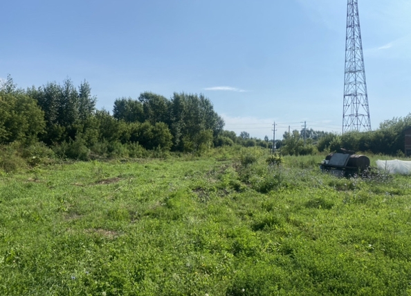 
  Сдается универсальное помещение, 3500 м², Элеваторная ул, д. 8
. Фото 5.