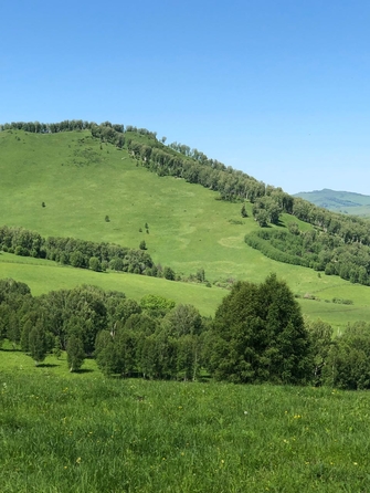 
  Продается производственное помещение, 2200 м², Алтайская ул, д. 80
. Фото 1.
