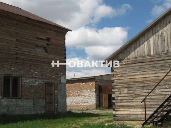 
  Продается производственное помещение, 443.2 м², Строительная ул, д. 56
. Фото 5.