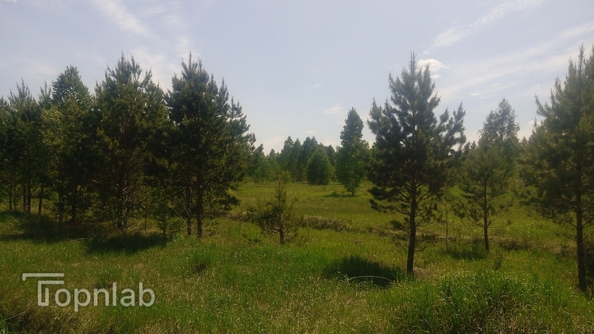 
  Продается земельный участок, 5800 соток, село Баюновские Ключи
. Фото 19.