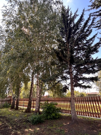 
  Продается коттедж, 65.8 м², село Чистюнька
. Фото 25.