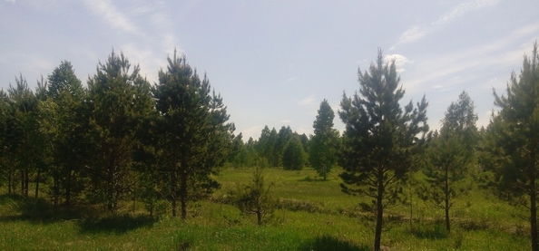 
  Продается земельный участок, 9 соток, село Баюновские Ключи
. Фото 6.