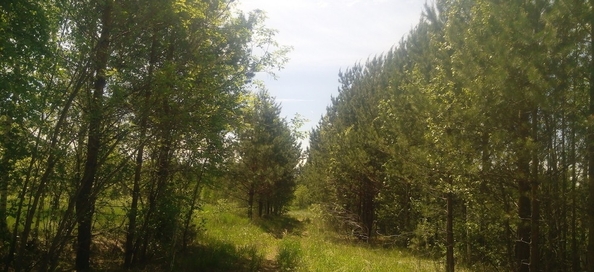 
  Продается земельный участок, 9 соток, село Баюновские Ключи
. Фото 16.