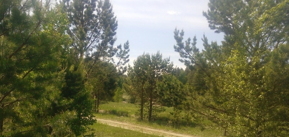 
  Продается земельный участок, 9 соток, село Баюновские Ключи
. Фото 20.