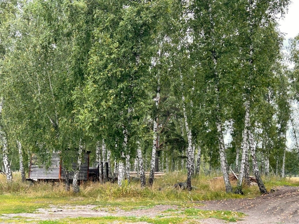 
  Продается производственное помещение, 50 м², Анисимовская ул, д. 8
. Фото 11.