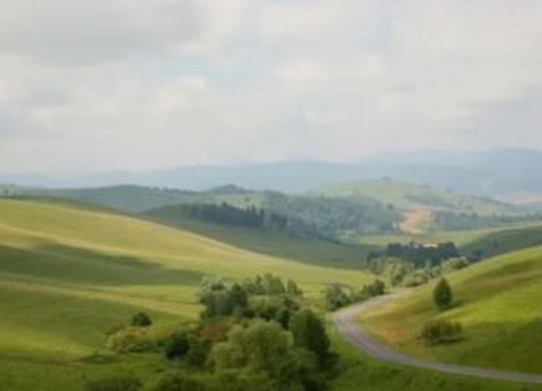 
  Продается земельный участок, 1000 соток, село Черновая
. Фото 5.