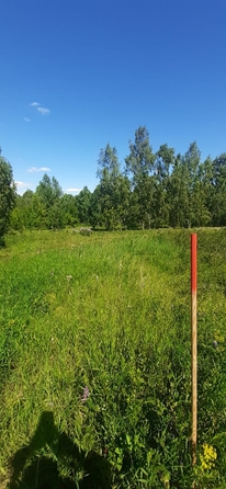 
  Продается земельный участок, 11 соток, поселок Бельмесево
. Фото 5.