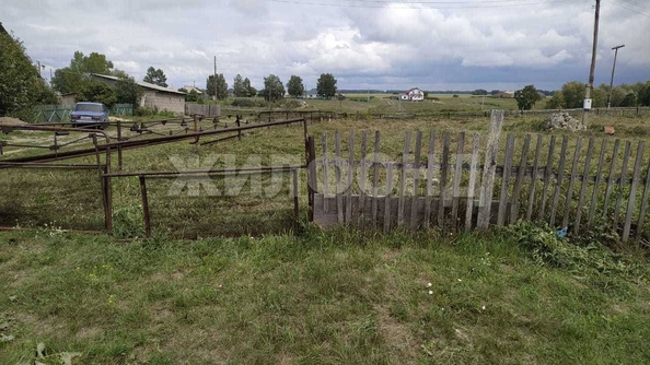 
  Продается земельный участок, 25 соток, село Елунино
. Фото 4.