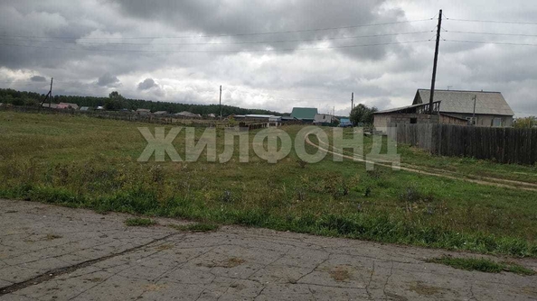 
  Продается земельный участок, 25 соток, село Елунино
. Фото 6.