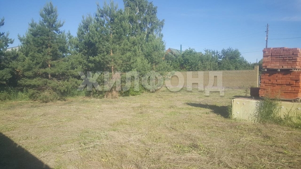 
  Продается земельный участок, 10 соток, село Фирсово
. Фото 7.