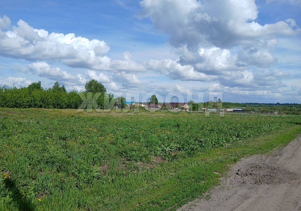
  Продается дом, 41.3 м², поселок Логовой
. Фото 3.